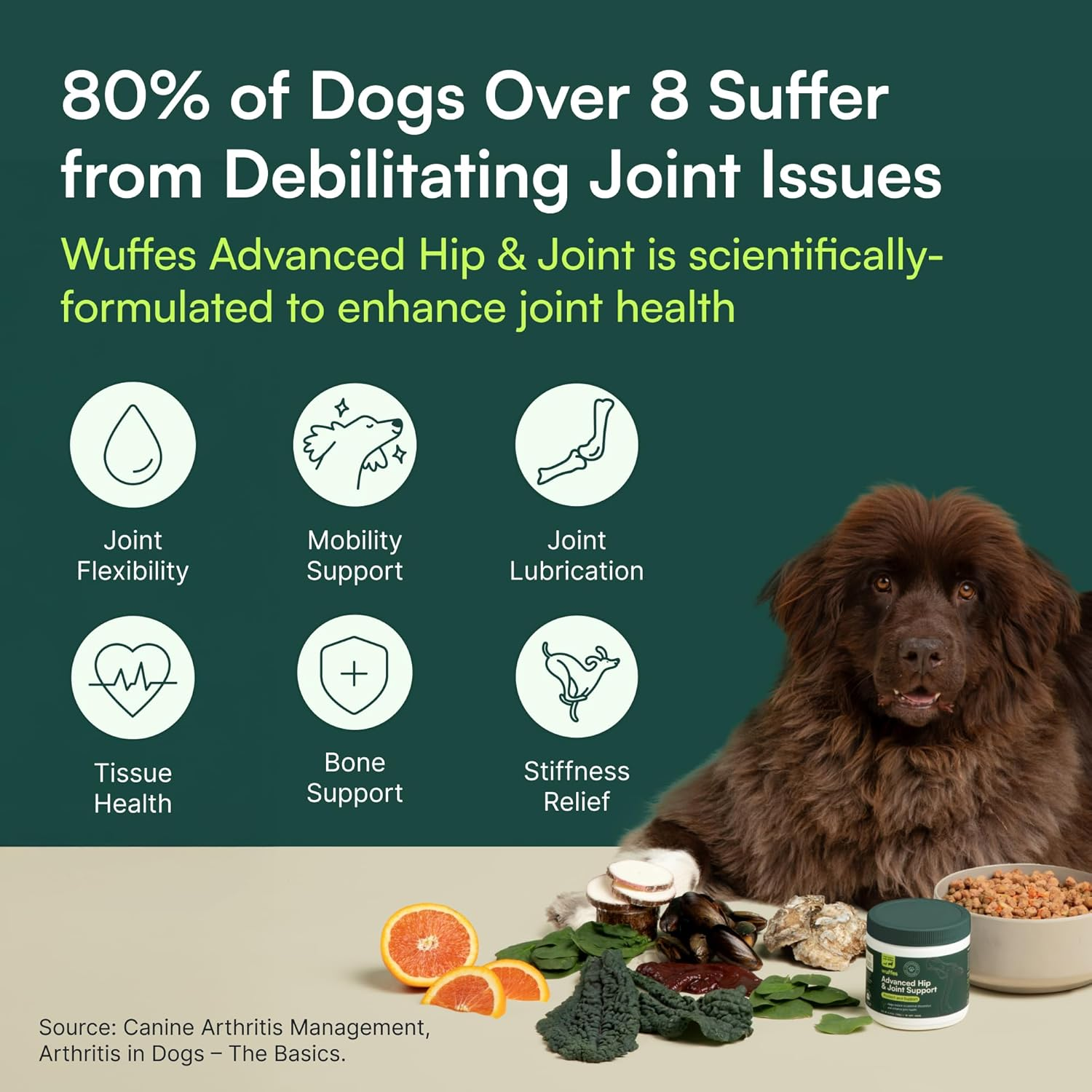 Chewable Dog Hip & Joint Supplement - Glucosamine & Chondroitin Chews - Dog Joint Supplements & Vitamins - Extended Joint Care (Large Breed (Over 65 Lbs), 60 Chews (Pack of 2)) - Image 6