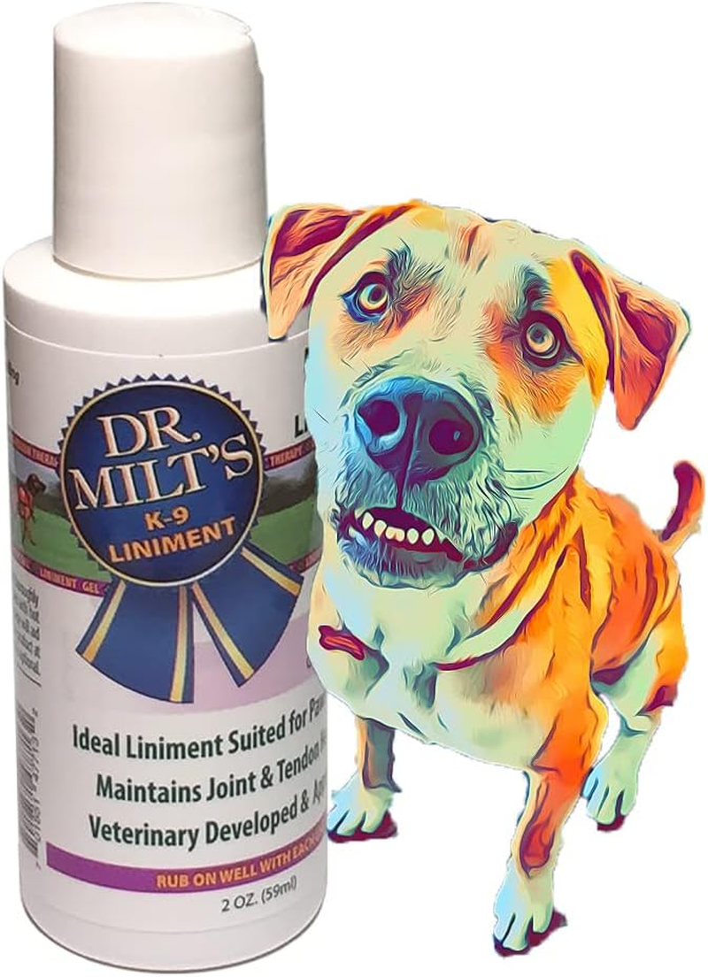 Dog Hip and Joint Pain Relief Spray and Gel, Topical Magnesium Sulfate & Arnica Ointment. Reduces Inflammation, Lessens Tenderness and Alleviates Nervousness. 1-2Oz Gel