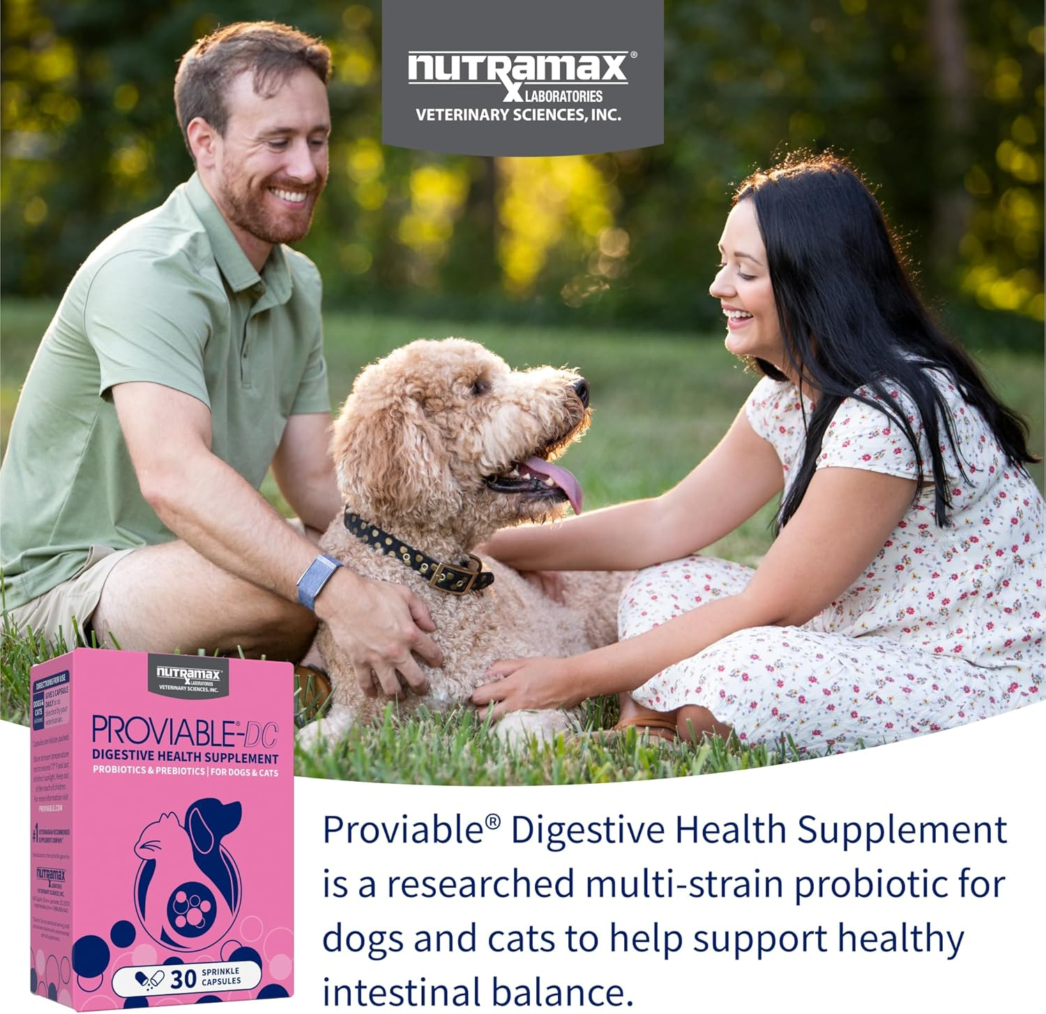 30 Count Proviable Health Supplement for Cats and Dogs (PROVDC30) - Image 3