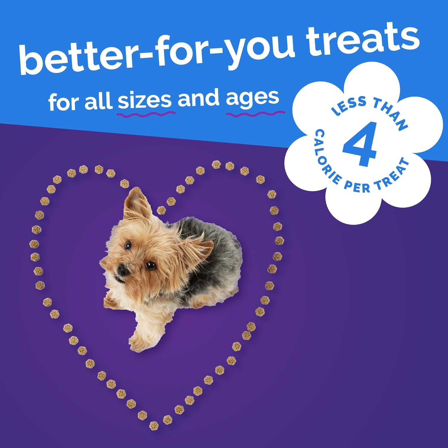 Skinny Mini Dog Treats, Healthy Pumpkin Treat for Dogs, Low Calorie & Delicious, Puppy Training, No Wheat, Corn or Soy, Made in the USA, Pumpkin and Berry Flavor, 5Oz - Image 7