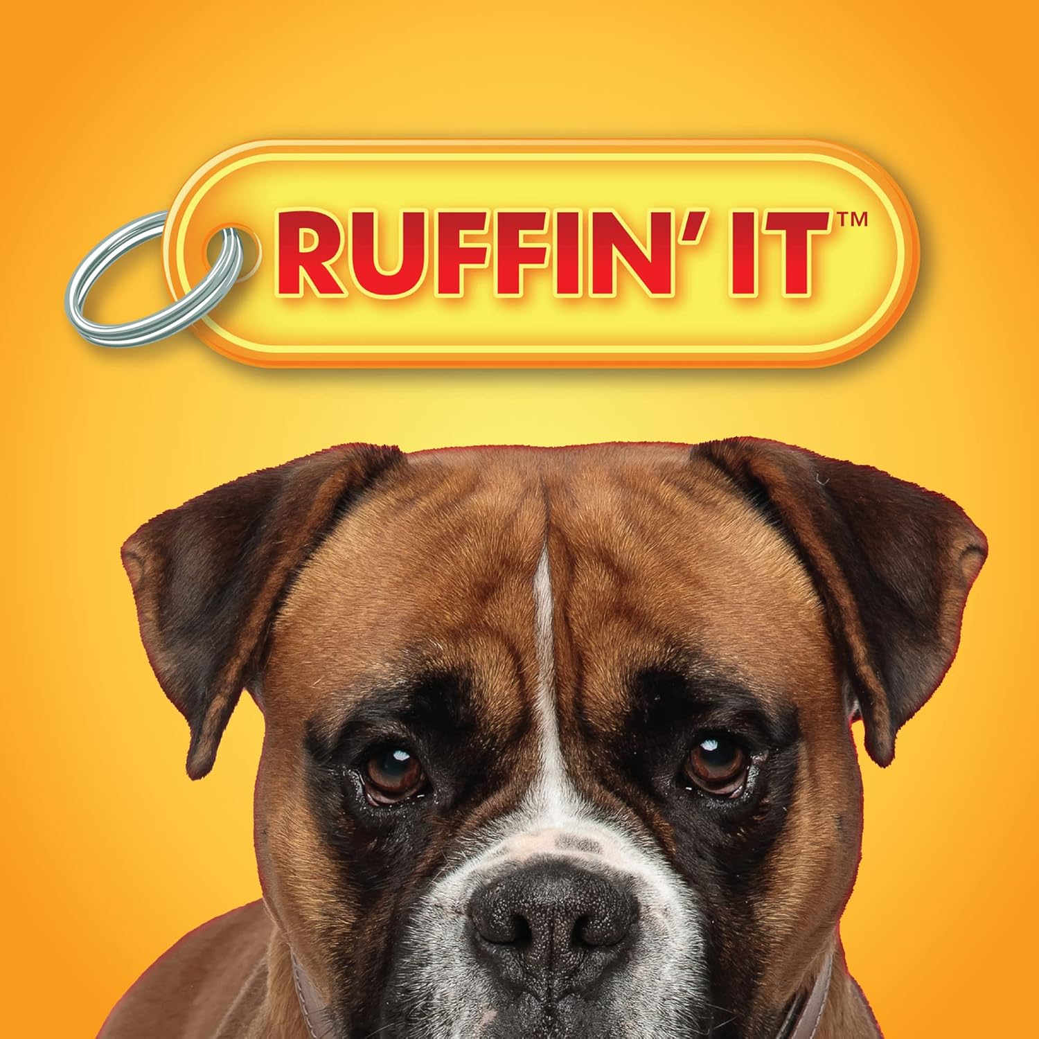 Woodlands Plush Squirrel Dog Toy, Small - Image 7