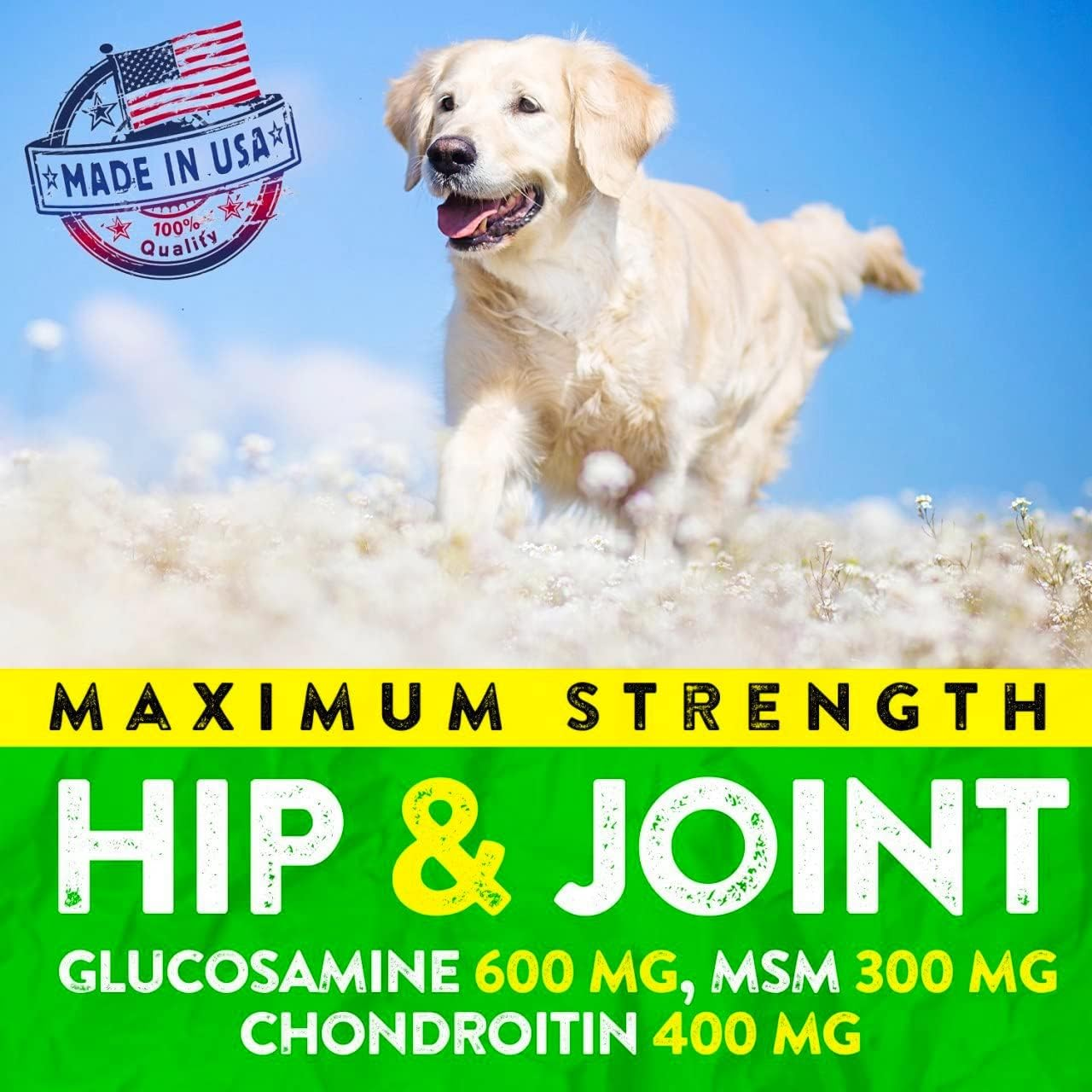 Hemp Hip and Joint Supplement for Dogs - Glucosamine for Dogs - 170 Dog Joint Pain Relief Treats - Chondroitin, Hemp Oil, MSM - Mobility & Flexibility Support - Advanced Care Health - Made in USA - Image 4