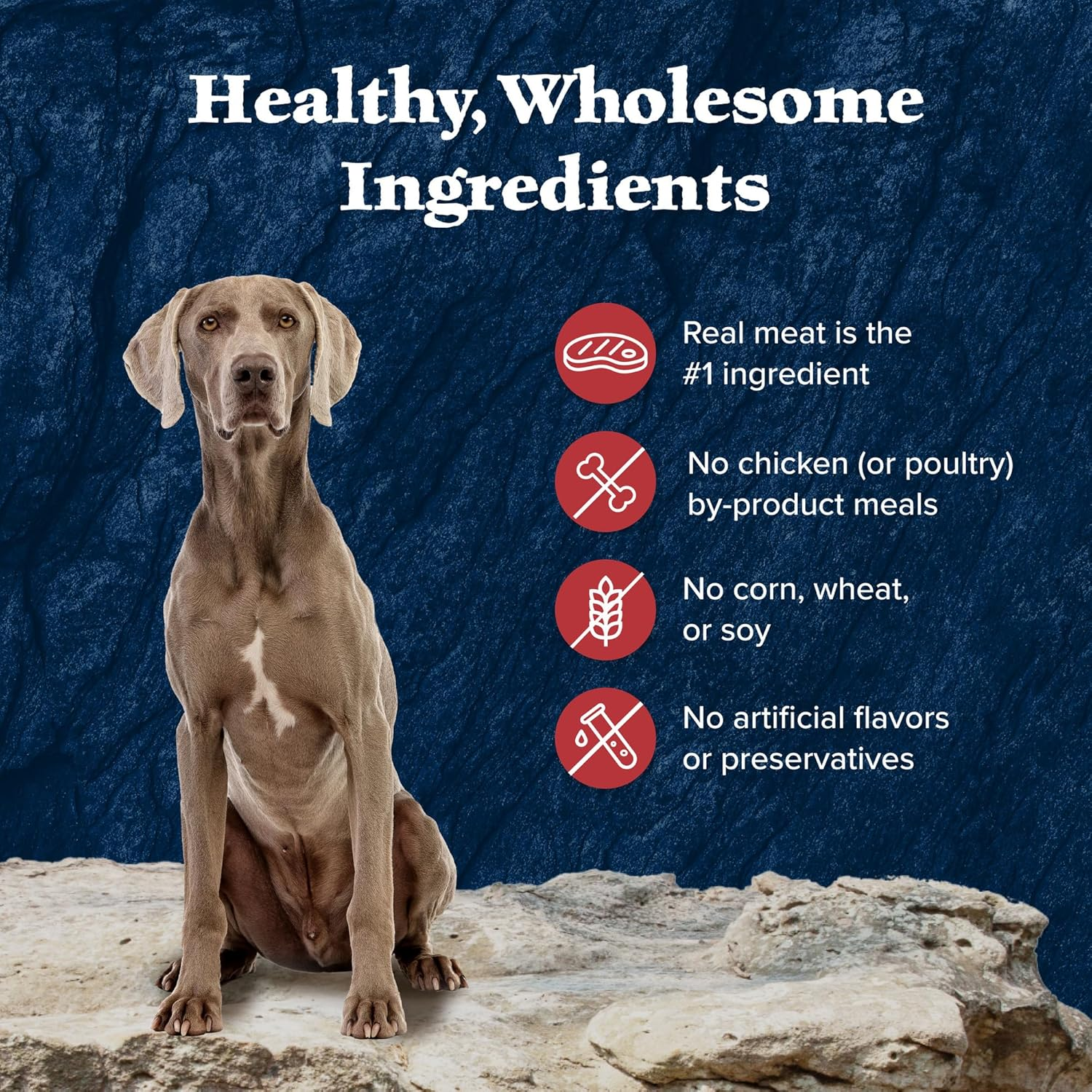 Wilderness Rocky Mountain Recipe Senior Wet Dog Food, High-Protein & Grain-Free, Made with Natural Ingredients, Red Meat Recipe, 12.5-Oz. Cans (12 Count) - Image 6