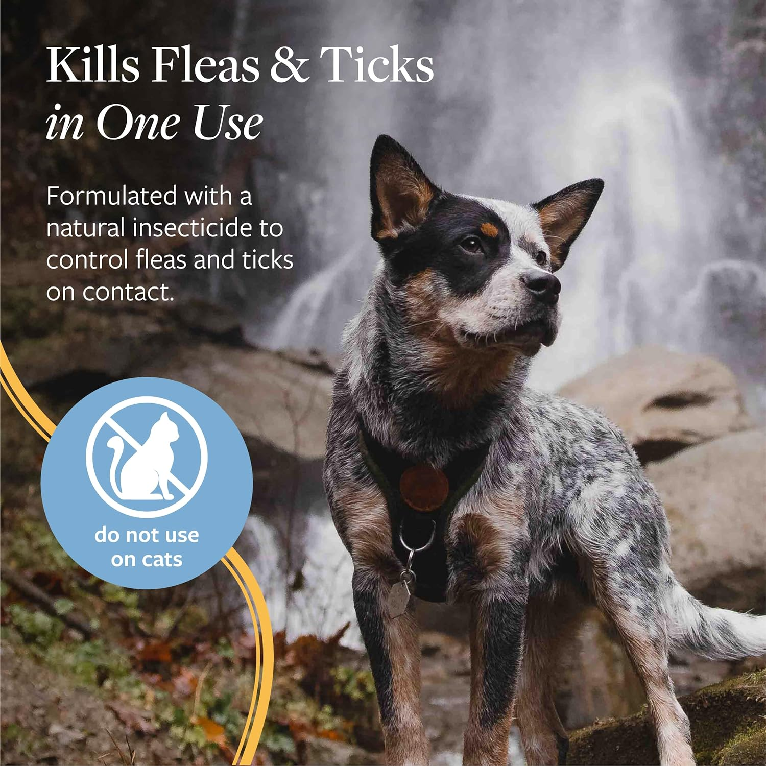 Flea and Tick Spray for Dogs, 8 Oz – Easy-To-Use Dog Flea Spray, Kills on Contact, Prevents Egg & Larval Development for 14 Weeks - Image 3