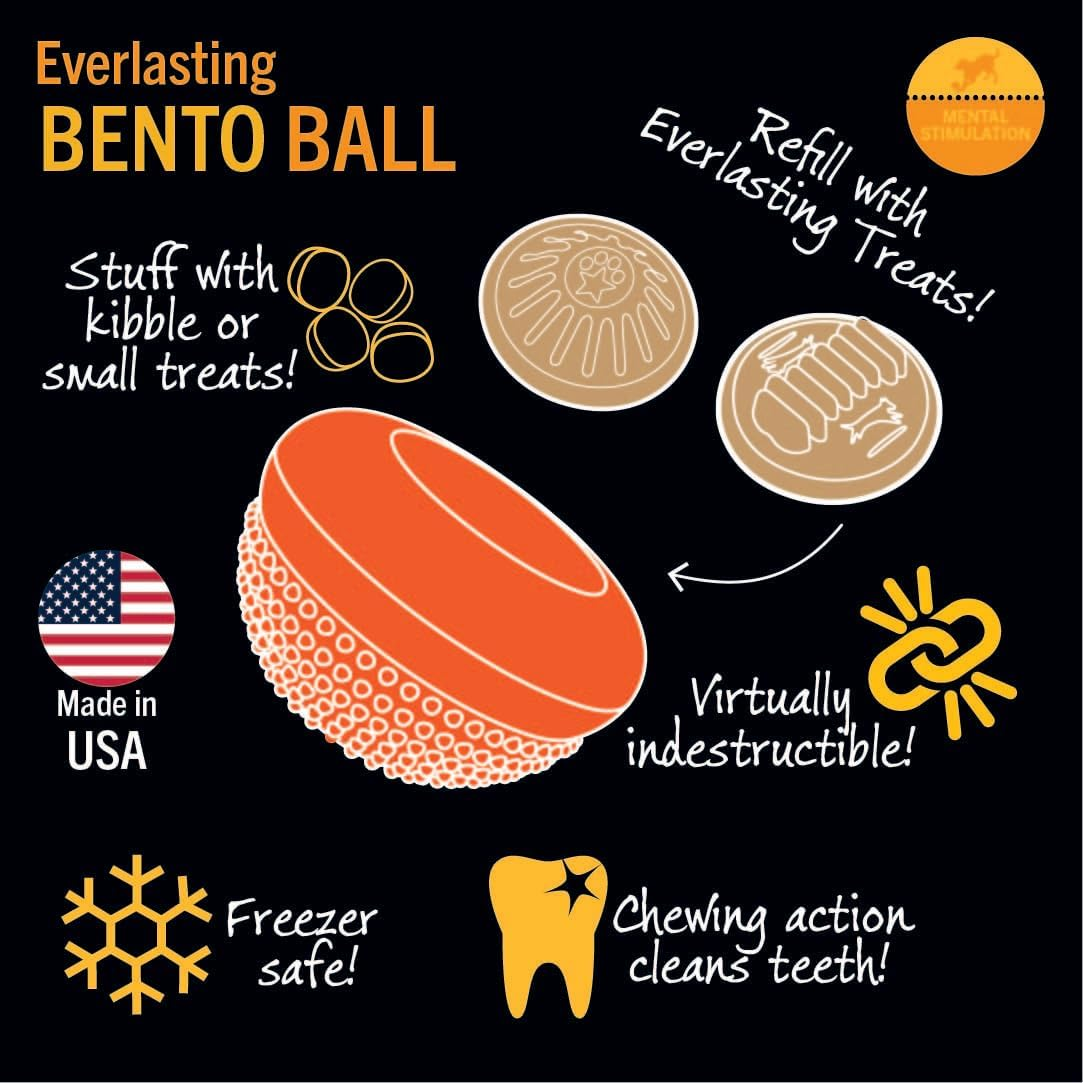Everlasting Treat Bento Ball Tough Dog Chew Toy Medium - Image 7
