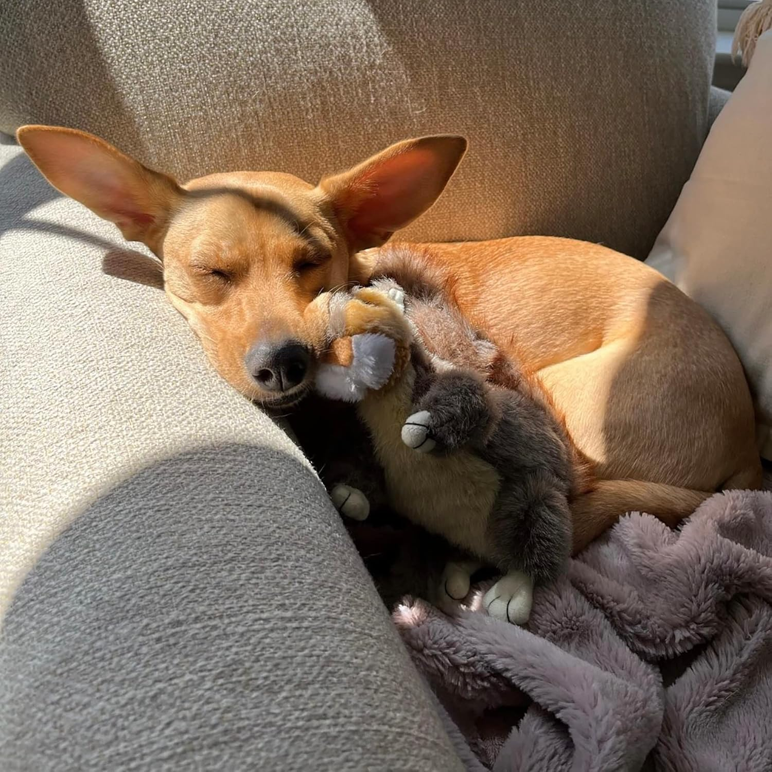 Woodlands Plush Squirrel Dog Toy, Small - Image 5