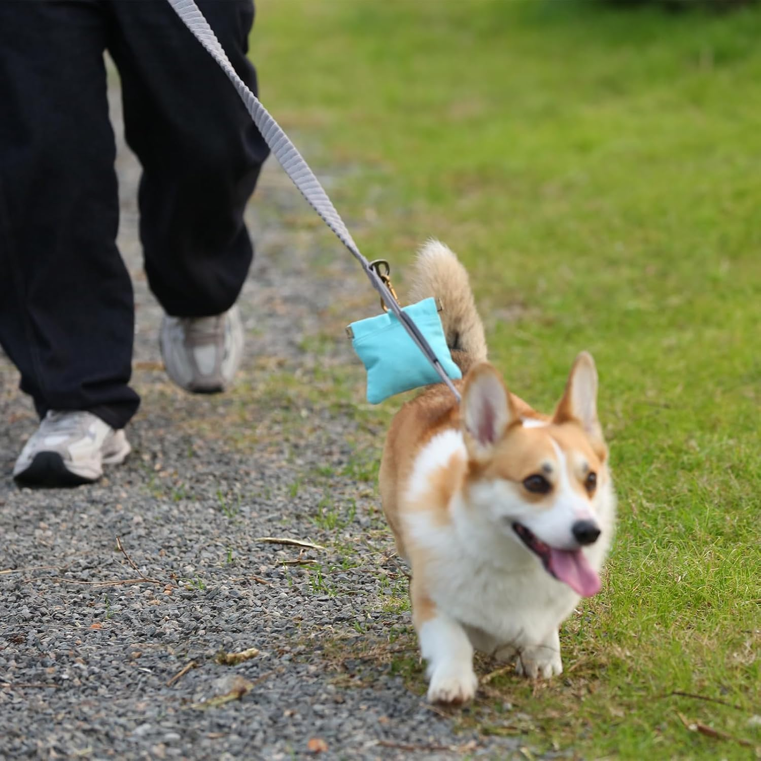 Dog Treat Pouch, Hand Free Dog Training Treat Bag with Carabiner & Magnetic Buckle, Auto Closing Dog Walking Bag for Puppy Travel or Outdoor Use, Pet Feed Snack Reward Pocket, Black - Image 4