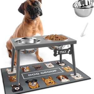 Raised Dog Bowl Stand for Large Dogs, 10” Tall Elevated Feeder with Spill-Proof Mat, Stainless Steel 58OZ Bowls for Food & Water, Gray Color (Mat Size: 16X24”)