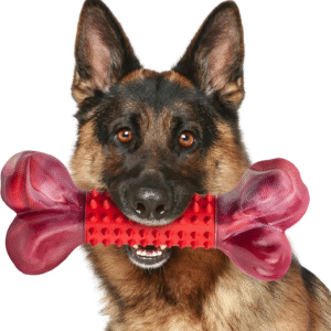 Tough Dog Toys for Aggressive Chewers Beef Flavor: 8" Dog Chew Bone for Large Breed, Nylon & Rubber Chew Toy for Medium Large Dogs