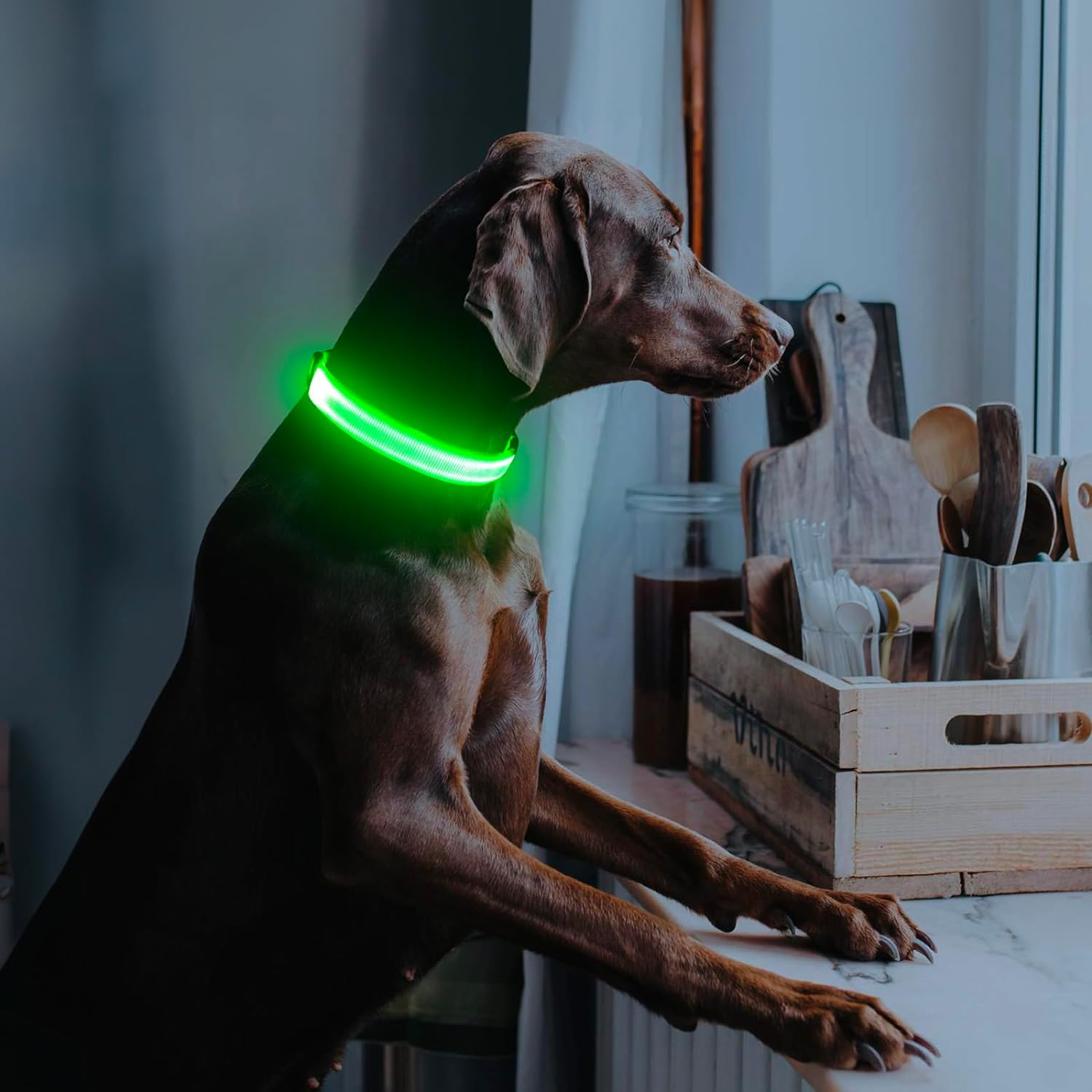 Light up Dog Collar, USB Rechargeable LED Dog Collar Glow in the Dark,Adjustable Pet Safety Lights for Night Walking (Green, Medium) - Image 6