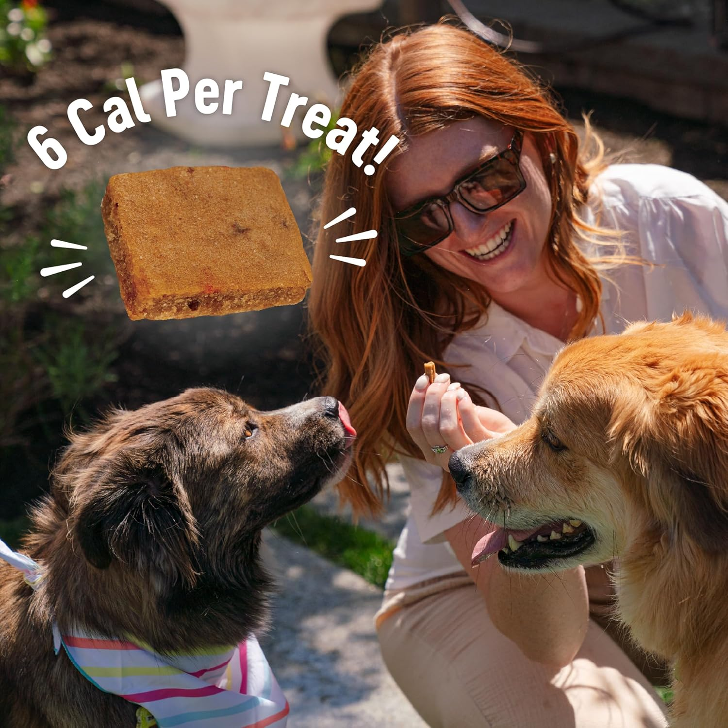 Puppy Treats, Natural, Training Treat, Grain Free, Soft Lamb & Salmon (8 Ounce Bag) - Image 9