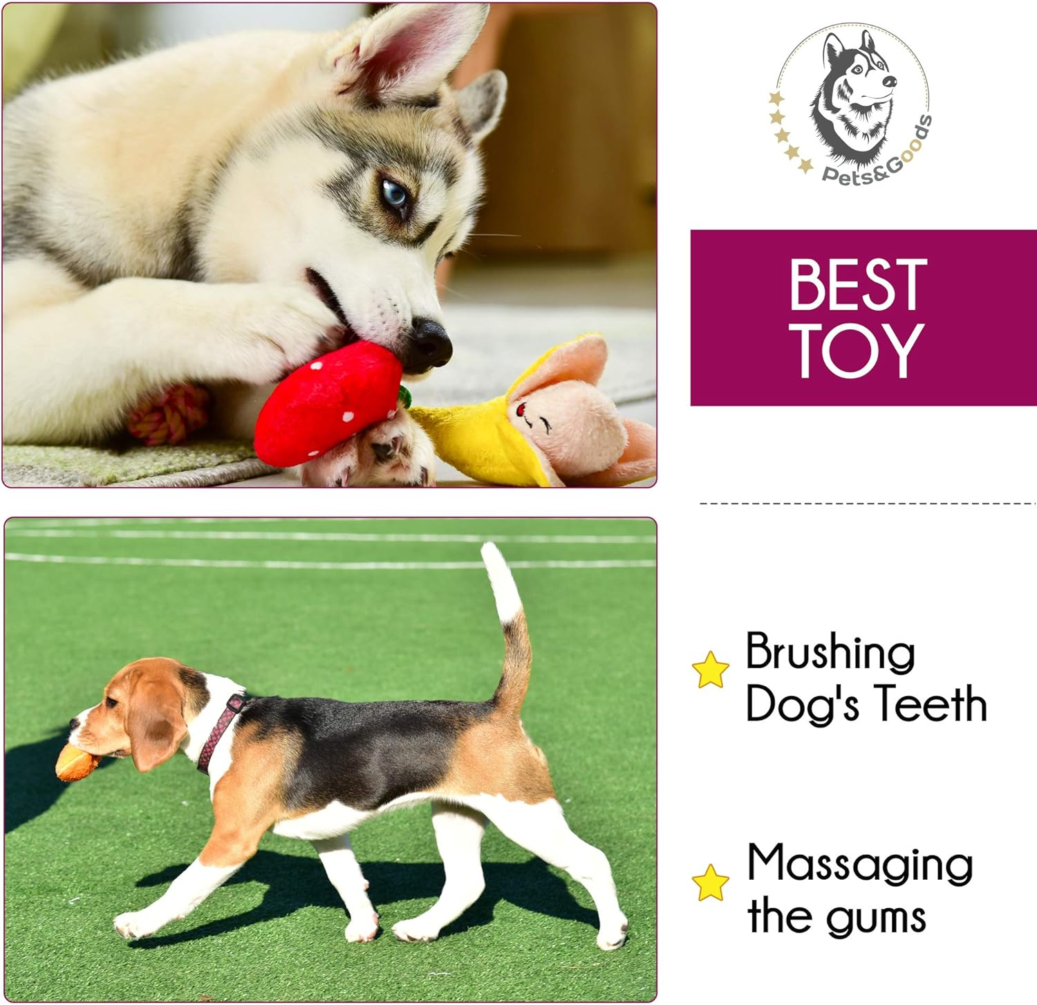 Plush Squeaky Dog Toys – 6-Pack Soft Stuffed Fruit & Vegetable Set for Puppies & Small Dogs – Durable, Cute, Crinkle & Teething Play - Image 4