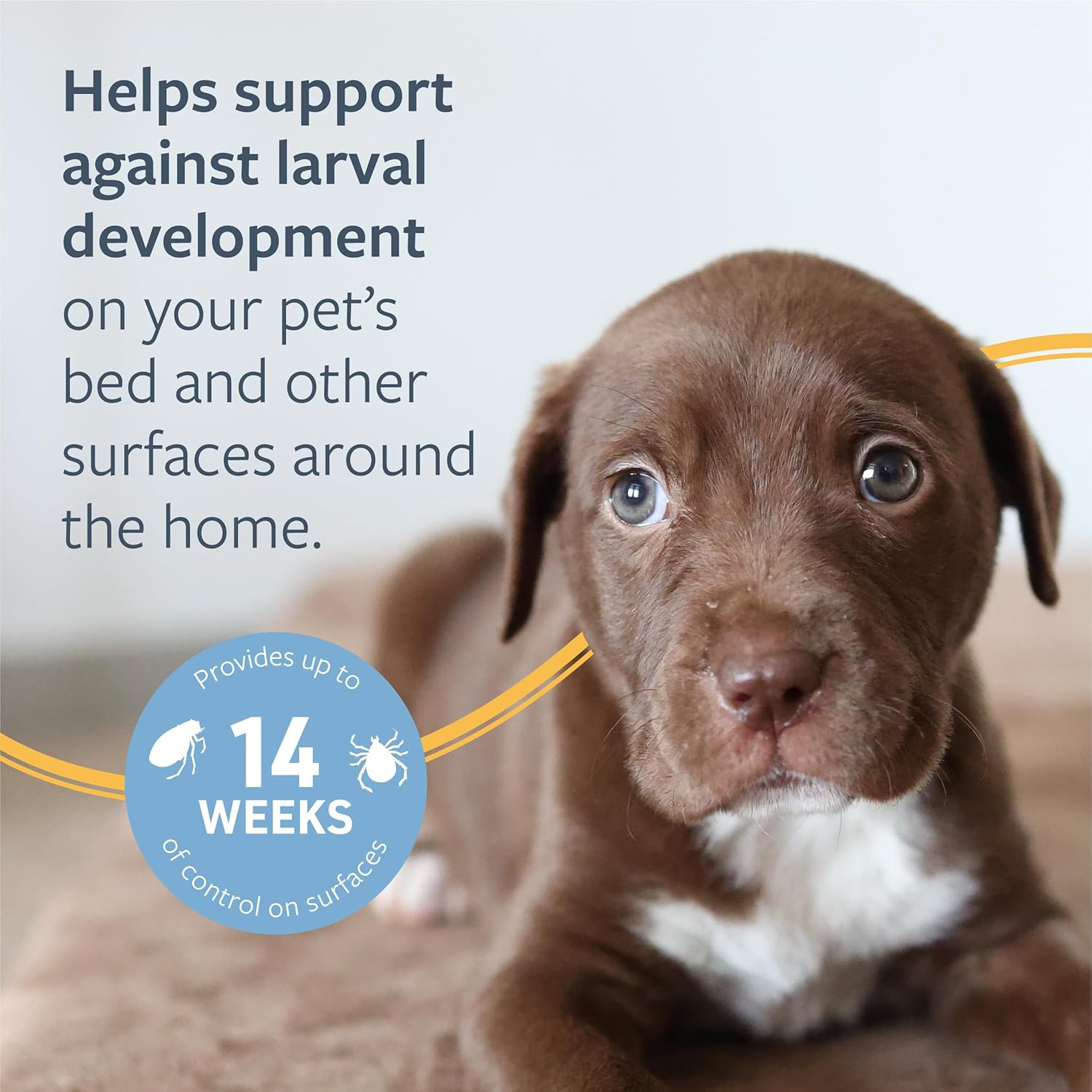 Flea and Tick Spray for Dogs, 8 Oz – Easy-To-Use Dog Flea Spray, Kills on Contact, Prevents Egg & Larval Development for 14 Weeks - Image 5