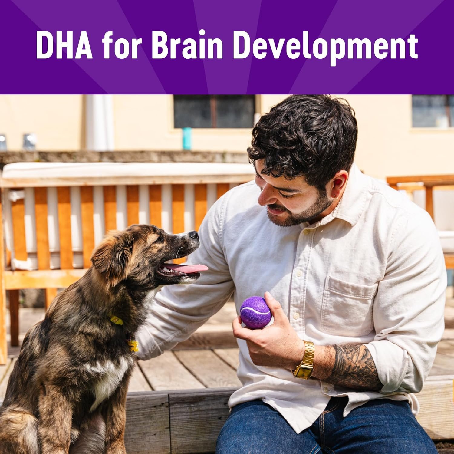 Puppy Treats, Natural, Training Treat, Grain Free, Soft Lamb & Salmon (8 Ounce Bag) - Image 3