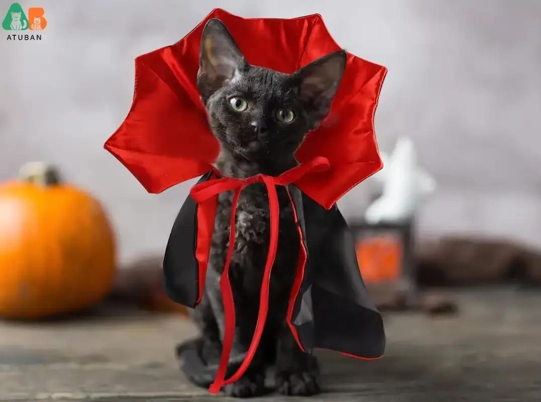 Halloween Cat Vampire Cloak Costume Halloween Adjustable Pet Cape Costume Clothes,Pet Accessories Costume Outfit Decor Cowl - Image 5
