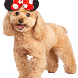 Disney: Minnie Mouse Pet Costume for for Dogs or Cats by Rubies, M/L
