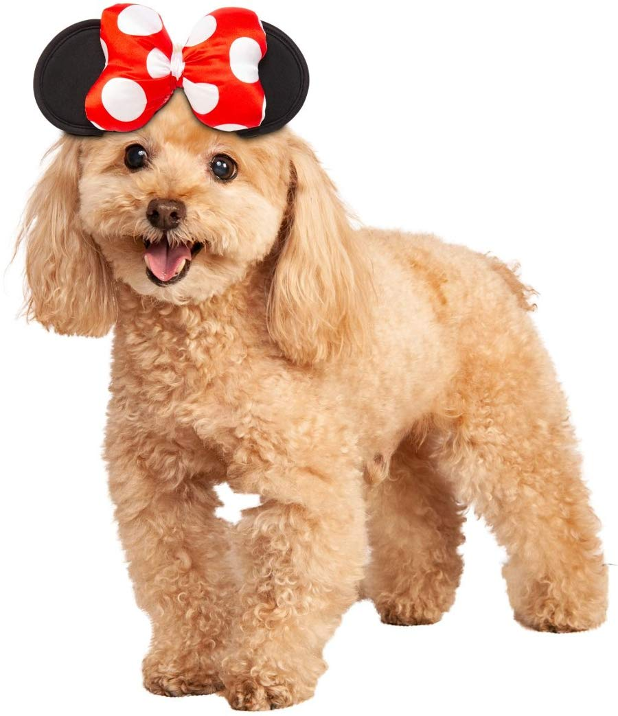 Disney: Minnie Mouse Pet Costume for for Dogs or Cats by Rubies, M/L