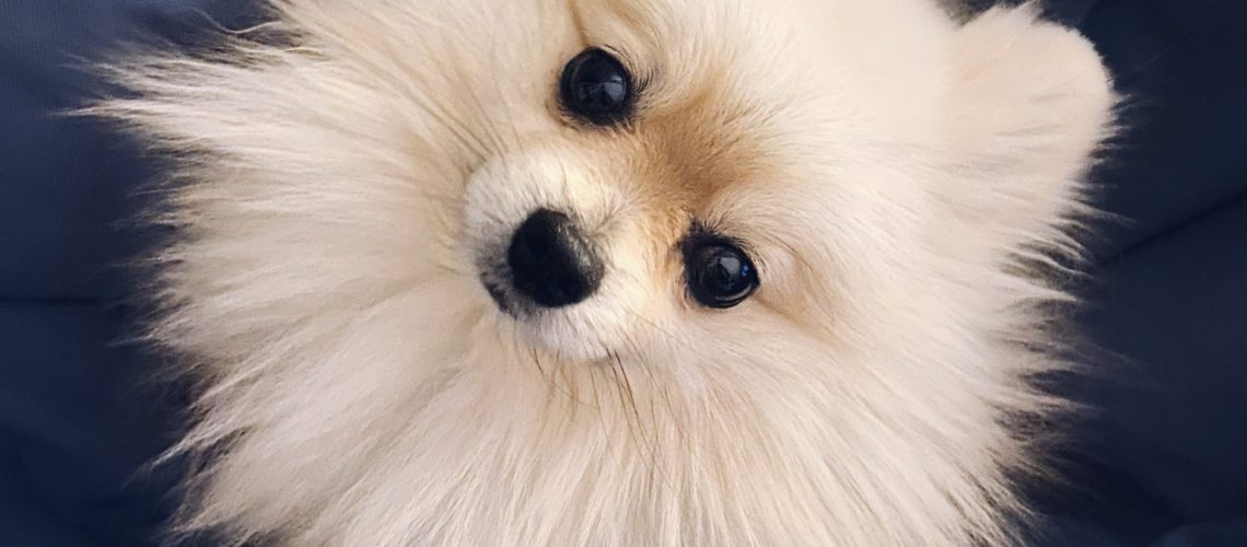 46FC9F02-87C5-4DFA-B695-25F994ADF471-2