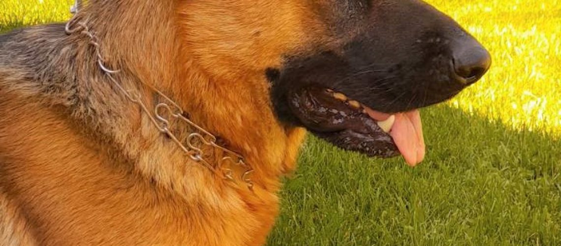 IMG-65f25c082961e36e14656831214af89f-Vb