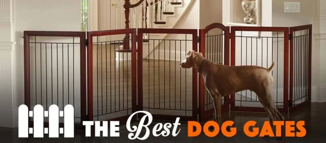 best-dog-gates-800x400-1