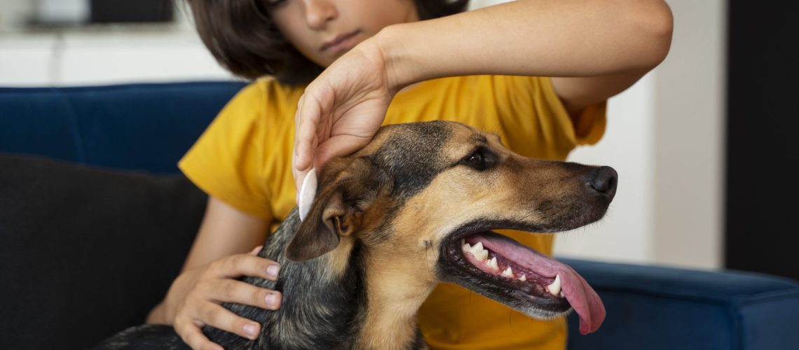 Child using cotton pad to clean dog’s ear for flea and tick prevention