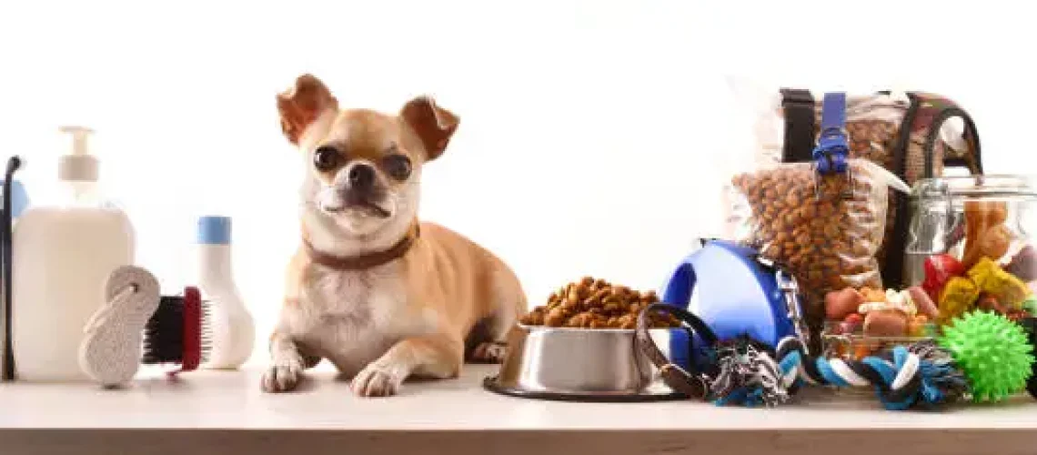 istockphoto-1341957270-612x612-1