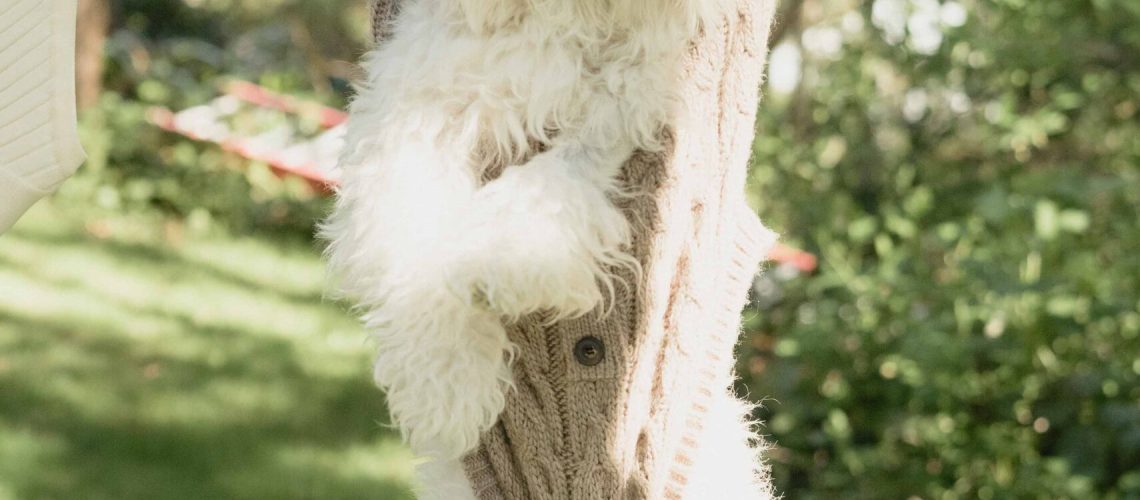 pexels-dziana-hasanbekava-7994435-2